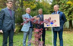 Simbolično sađenje stabla na Šumarskom fakultetu UNSA - Mali doprinos zelenijoj okolini i prirodnim resursima