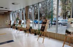 Izložba radova studenata Arhitektonskog fakulteta UNSA "Market u Kampusu Univerziteta u Sarajevu"