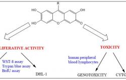 Projekat “Ispitivanje antitumorske aktivnosti i toksičnosti sintetiziranih ksantena”