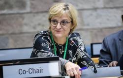Prof. dr. Senka Barudanović izabrana za predsjedavanje UN CBD SBSTTA 26 konferencijom