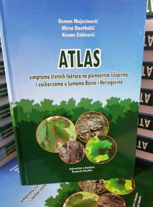 Atlas simptoma štetnih faktora na plemenitim lišćarima i voćkaricama u šumama Bosne i Hercegovine