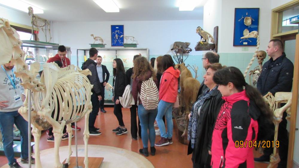 Dan otvorenih vrata Veterinarskog fakulteta