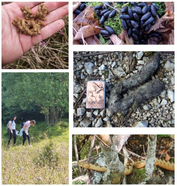 Projekat „Istraživanje parazitarnih oboljenja divljači na području Federacije Bosne i Hercegovine sa ciljem očuvanja i unaprjeđenja biodiverziteta“