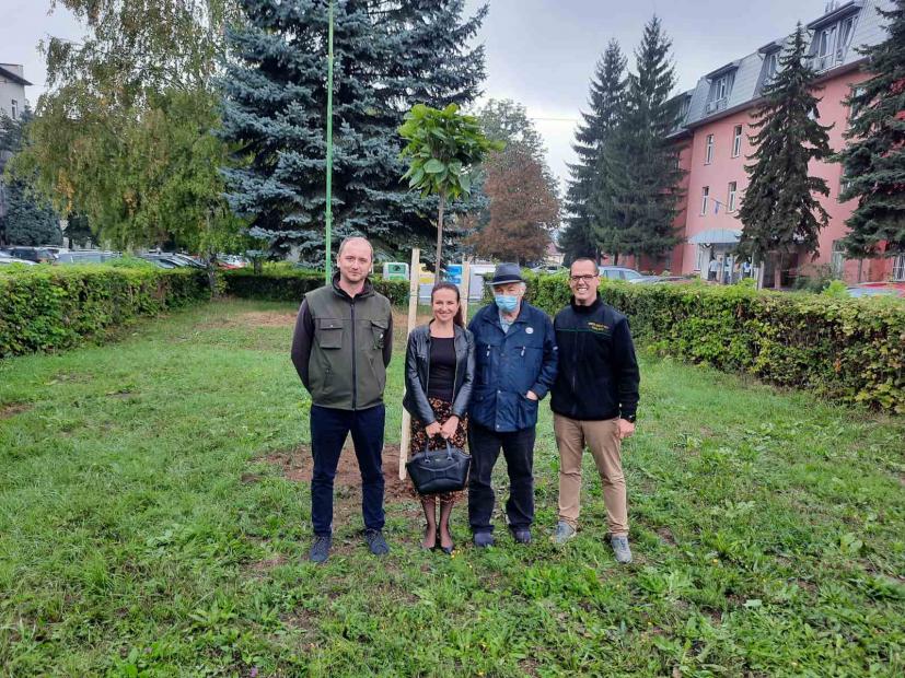 Posađeno "Drvo mira" u Kampusu Univerziteta u Sarajevu