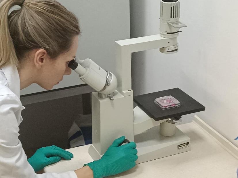 Na Institutu za genetičko inženjerstvo i biotehnologiju UNSA uspješno izveden eksperiment genomskog editovanja nepatogenog soja E. coli CRISPR-Cas9 tehnologijom