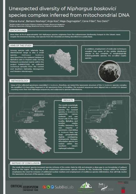 Studentica Prirodno-matematičkog fakulteta UNSA Džana Kuna predstavlja svoje istraživanje u okviru 3MT takmičenja