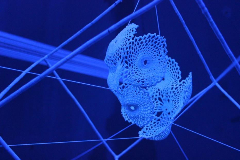 Otvorena samostalna izložba Self-replication│edition 2 i promocija dvojezične monografije vizuelne umjetnice Nele Hasanbegović