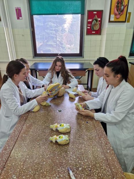 Veterinarski fakultet UNSA | Inovacije u nastavi anatomije