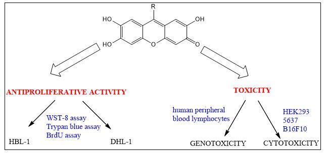 Projekat “Ispitivanje antitumorske aktivnosti i toksičnosti sintetiziranih ksantena”