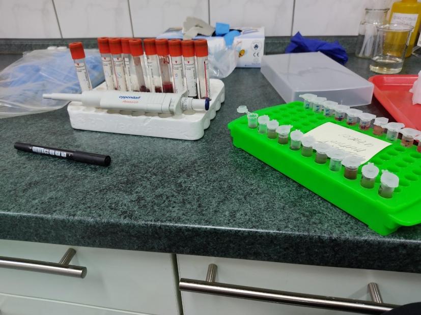 Projekat: “Ispitivanje Brucella suis, Orthohepevirus A, Toxoplasma gondii i drugih parazitarnih zoonotskih oboljenja u populaciji domaćih i divljih svinja u Federaciji Bosne i Hercegovine”