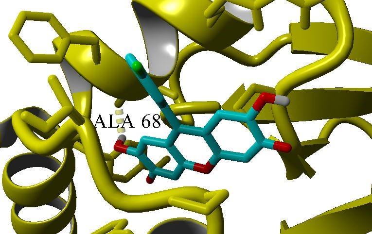 Projekat „SPOJEVI IZ MORSKIH ORGANIZAMA: IN SILICO SKRINING U POTRAZI ZA POTENCIJALNIM LIJEKOM PROTIV SARSCOV-2“