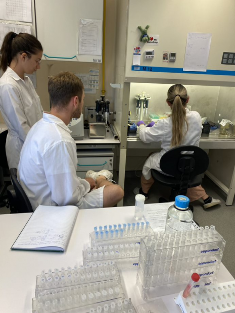 Projekat: “Unaprjeđenje i diverzifikacija istraživanja iz oblasti veterinarstva kroz umrežavanje i razmjenu mladih istraživača”