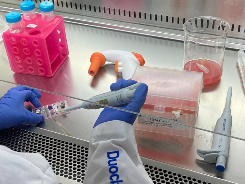 Projekat „Razvoj proizvoda za usporavanje starenja kože baziran na sinergističkom djelovanju resveratrola i ekstremolita“