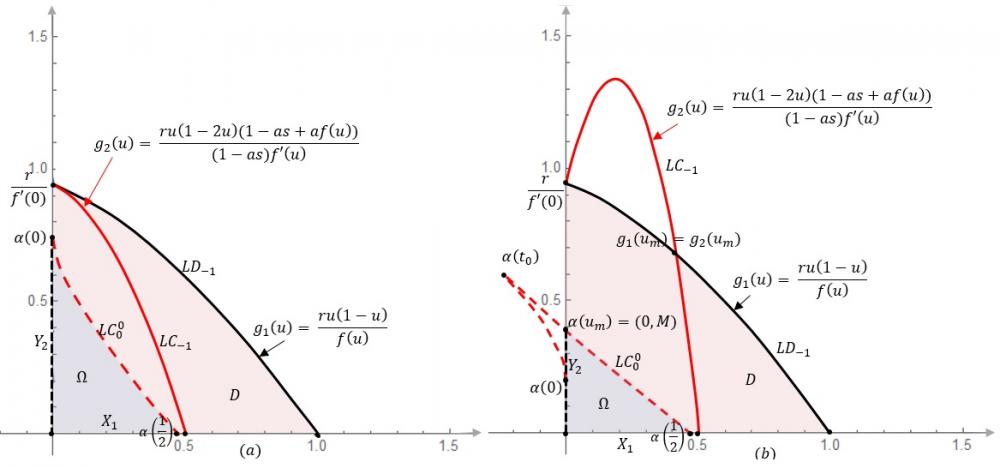 Objavljen naučni rad “Dinamika diskretnog Rosenzweig-MacArthur predator–prey sistema na zatvorenom pozitivno invarijantnom skupu” u Q1 časopisu “Computational and Applied Mathematics”