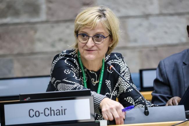 Prof. dr. Senka Barudanović izabrana za predsjedavanje UN CBD SBSTTA 26 konferencijom