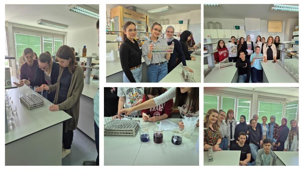 Radionica "Boje biljaka" na Odsjeku za biologiju Prirodno-matematičkog fakulteta UNSA