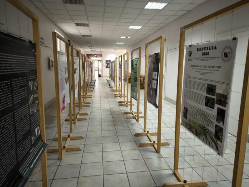 REPTILIA 2024 | 3. međunarodni znanstveno-stručni skup o gmazovima i egzotičnim životinjama