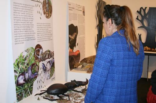 Otvorena inkluzivna izložba „Priroda na dodir“ u Zemaljskom muzeju BiH