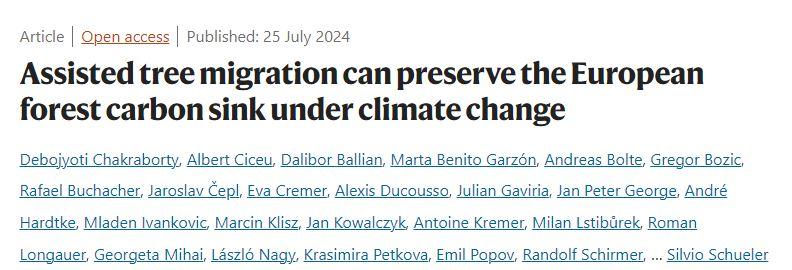 Klimatske promjene prijete ponoru ugljika u europskim šumama, ali potpomognuta migracija nudi nadu