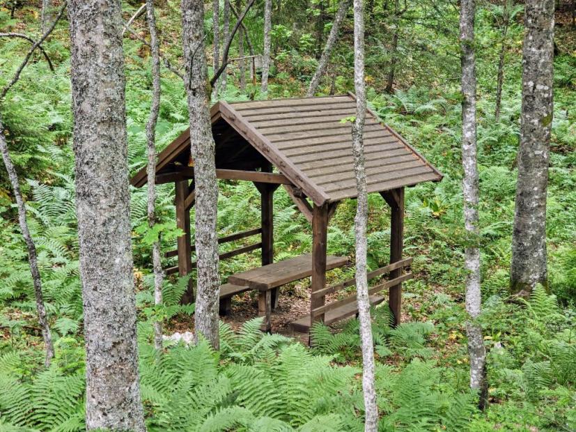 Šumarski fakultet UNSA | STRATEGYMEDFOR – Strategija za održivo upravljanje mediteranskim šumama