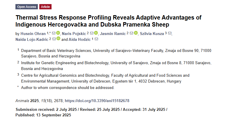 U časopisu Animals objavljen naučni članak pod nazivom “Thermal Stress Response Profiling Reveals Adaptive Advantages of Indigenous Hercegovačka and Dubska Pramenka Sheep”