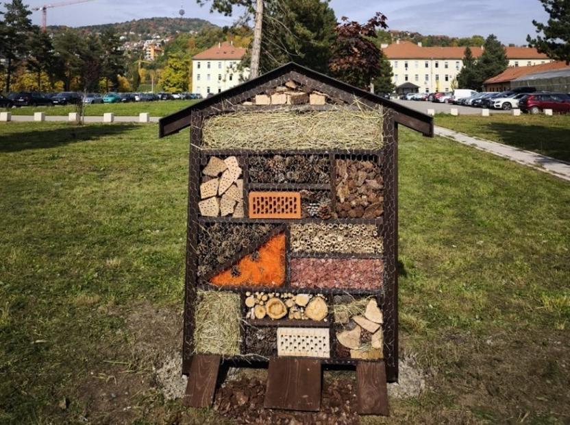 Hotel za kukce – oaza života u Kampusu Univerziteta u Sarajevu! Posjetite nas!