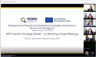 Održani sastanci radnih grupa u okviru WP3 aktivnosti projekta RDBIH