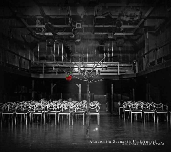 Projekti nastavnika i studenata Akademije scenskih umjetnosti UNSA na filmskom festivalu u Berlinu