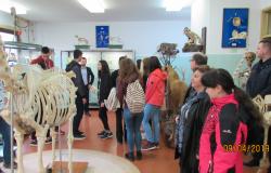 Dan otvorenih vrata Veterinarskog fakulteta