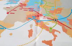 Služba za međunarodnu saradnju