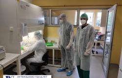 Naučnoistraživački tim Veterinarskog fakulteta UNSA