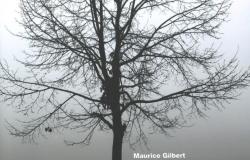 Nova knjiga u izdanju Katoličkog bogoslovnog fakulteta Univerziteta u Sarajevu