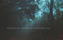 Trieste Film Festival: Specijalno priznanje filmu „Tako da ne ostane živa“ i dvije nagrade filmu „Otac“