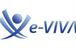 e-VIVA