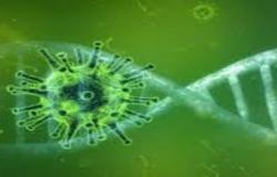 Laboratorij za molekularno-genetička i forenzička ispitivanja Veterinarskog fakulteta ustanovio je nove slučajeve infekcije virusa B117 SARS Corona 2 