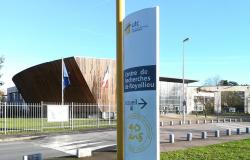 Podrška saradnji u oblasti visokog obrazovanja i naučnoistraživačkog rada