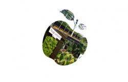 Upriličena internetska promocija i prezentacija „Zeleno poduzetništvo: e-portal i android aplikacija“