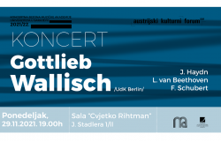 Recital i majstorska radionica profesora Gottlieba Wallischa na Muzičkoj akademiji UNSA