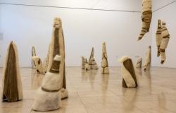 U Galeriji Akademije likovnih umjetnosti Univerziteta u Sarajevu otvorena izložba pod nazivom “Košnice“ Anese Kadić