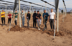 Poljoprivredno-prehrambeni fakultet UNSA od ove godine bogatiji za novi voćnjak