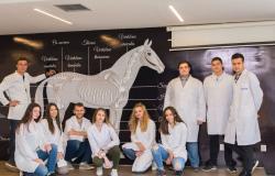 Upiši Veterinarski fakultet Univerziteta u Sarajevu
