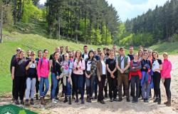 Terenska nastava za studente prve godine drugog ciklusa studija Šumarskog fakulteta UNSA