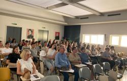 Nastavnici Farmaceutskog fakulteta UNSA na PROMISE konferenciji