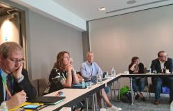 Direktor Nacionalne i univerzitetska biblioteka Bosne i Hercegovine na Svjetskom bibliotečkom i informacijskom kongresu – IFLA WLIC 2022