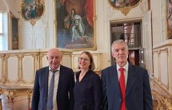 Direktor Nacionalne i univerzitetska biblioteka BiH na otvaranju obnovljenog prostora  Richelieu - Nacionalne biblioteke Francuske (BNF)