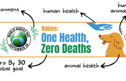 Svjetski dan borbe protiv bjesnila | Okrugli stol
