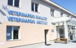 Veterinarski fakultet