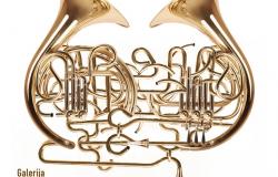 SONEMUS FEST 2022: (DIS)ENTANGLEMENT