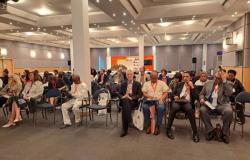 Direktor Nacionalne i univerzitetske biblioteke BiH na 2. Samitu nacionalnih biblioteka i 41. Sajmu knjige u Sharjahu