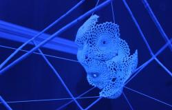 Otvorena samostalna izložba Self-replication│edition 2 i promocija dvojezične monografije vizuelne umjetnice Nele Hasanbegović